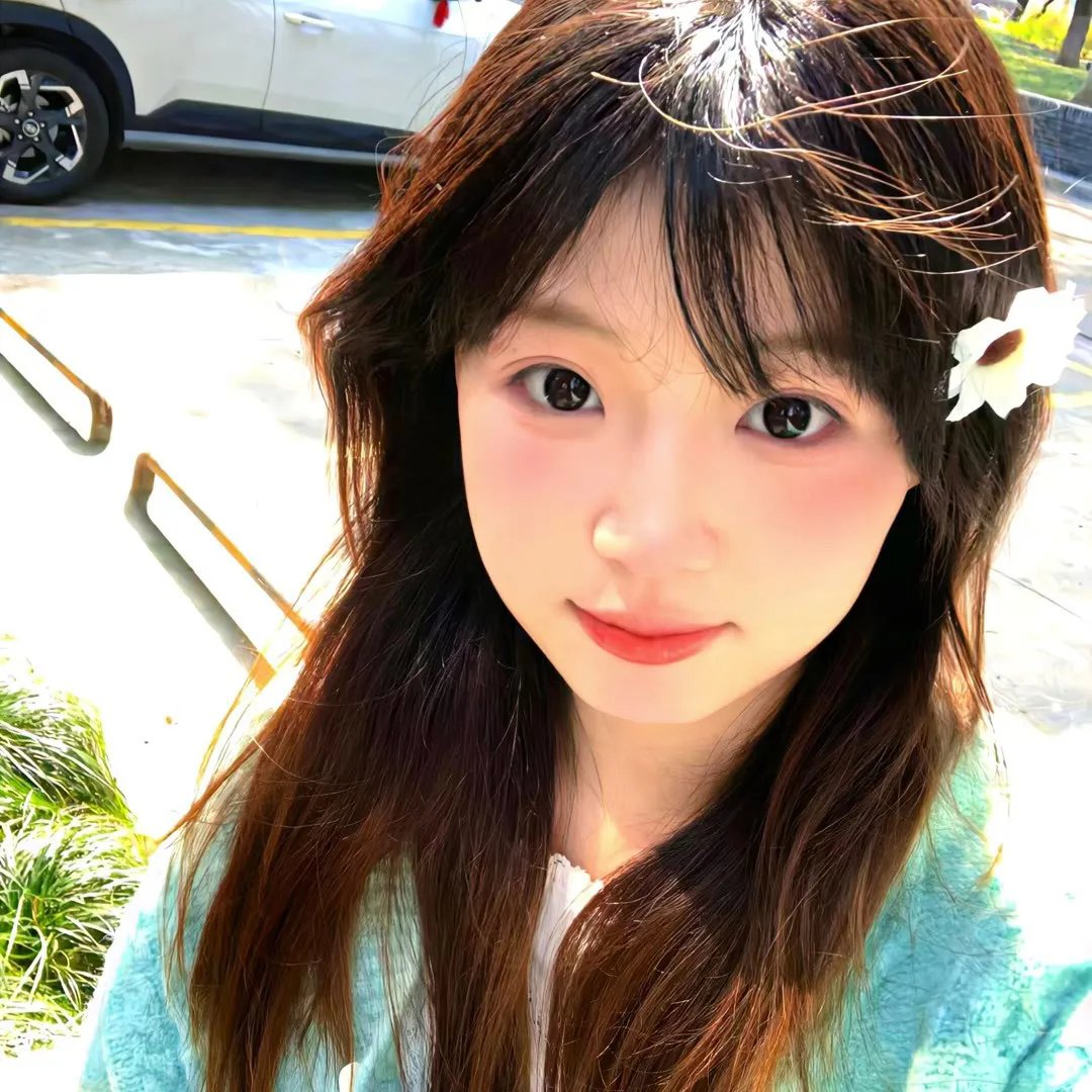 风尘舞蝶